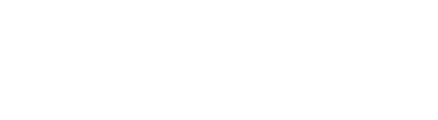 South Asia Team Excellence Awards Logo